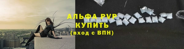 ГАЛЛЮЦИНОГЕННЫЕ ГРИБЫ Беломорск